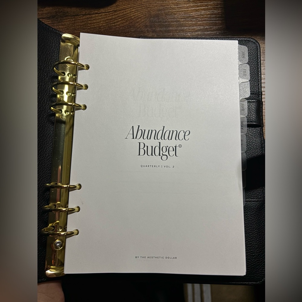 The Aesthetic Dollar A5 Binder + Month Tabs and Abundance Budget - Picture 2 of 3